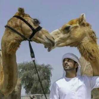 2AD65186's profile picture. ‏​‏​‏​‏​‏​‏​‏​‏​‏​‏​‏​‏​‏​‏​ﻣ̲ﭠﺧﺻ̝ص ﻓ̨ي ﺂ̲ﺧﺑﺂڒ ﺂ̲ﻟﮬﺟﻥ̴‏​‏​‏​​‏​​ ﺂ̲ﻟﻋﮧڕﺑﭔﮧ ﻓ̨ي ﻣ̲ﺟﺂل ﺂ̲ﻟﮧڕَگض ﯙﺂ̲ﻟﻣزﺂﭔﻧﮧ ﯙﺂ̲ﮬم ﺂ̲ﻟﻋﮧڕَوض ﻣزﺂدﺂت ﺂﻟﮬﺟن PIN:2AD65186