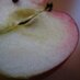 Frau Drucken (@_appelgriebsch) Twitter profile photo