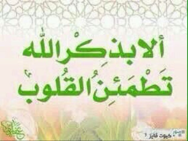 بنت الرياض