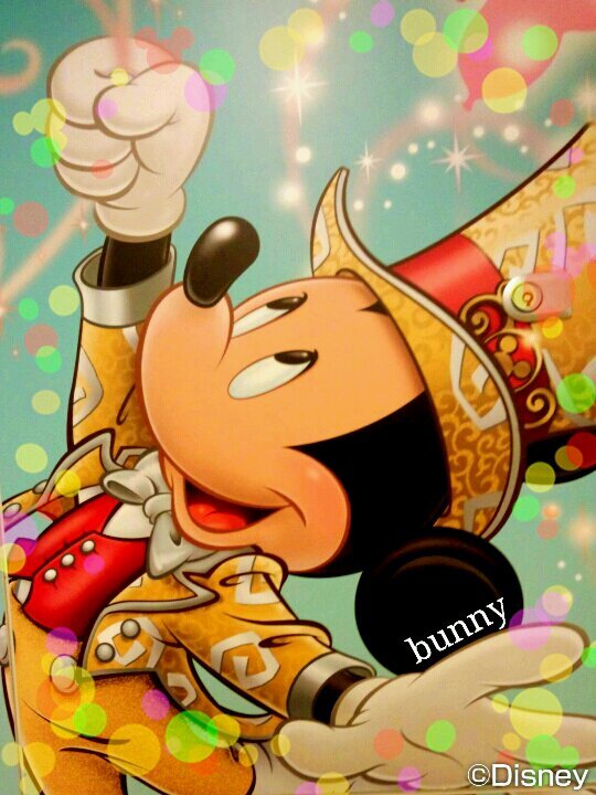 95/ディズニー/ミキミニ/他にも好きなものいっぱい!/よろしくお願いいたします♪
