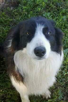 konilense's profile picture. 