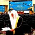 Shaykh Labeeb for Da'wah (@shaykh_labeeb) Twitter profile photo