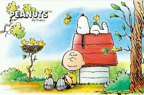 c5858ee2ecde4bb's profile picture. 徳山高校1年1組 陸上長距離 広島大 熊本大                九州工大 山口大 岡山大 建築家志望