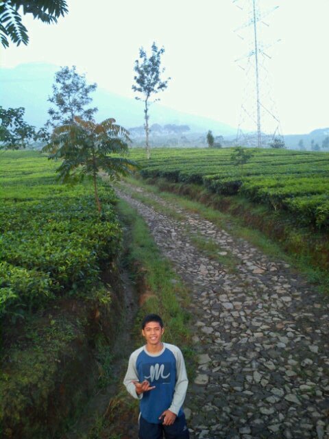 Ramautaa's profile picture. Do the best to be success