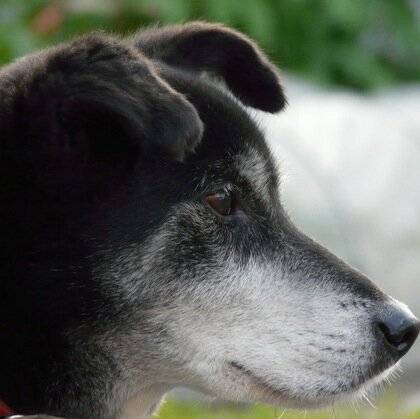 godiego5's profile picture. Between "absolute" and "relative"