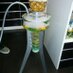 Spanish Hookah (@spanishookahrev) Twitter profile photo