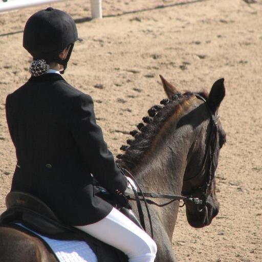 Horses are my life, my reason to smile...Gerard Piqué∞ Amor a primera vista... Calum Heaslip ❤ NOW I'M A WARRIOR...DP.