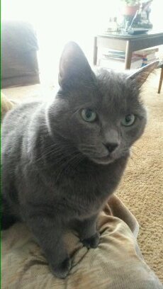 annie_bananie76's profile picture. 