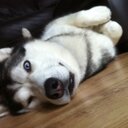 Scott Shields - @scott_shields22 - Twitter