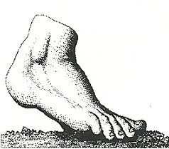 Serving the Columbus GA area with quality and comprehensive foot and ankle care