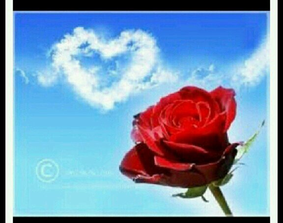 ‏‏‏‏‏‏‏‏‏‏‏‏‏‏‏ارحب كل من يتابعني‏‏‏‏‏‏‏‏                          ،، (رتويتً*)،،   حسابي في الأنستقرام. ‎‎‎‎‎‎‎@adbalrhman20