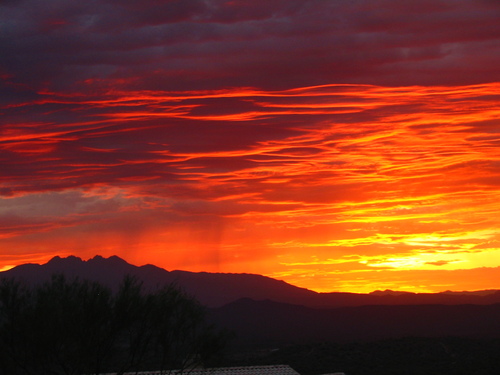 azintrepid's profile picture. 