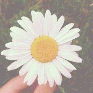 استغفرالله .