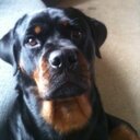 Stuart allan - @allan_stuart860 - Twitter