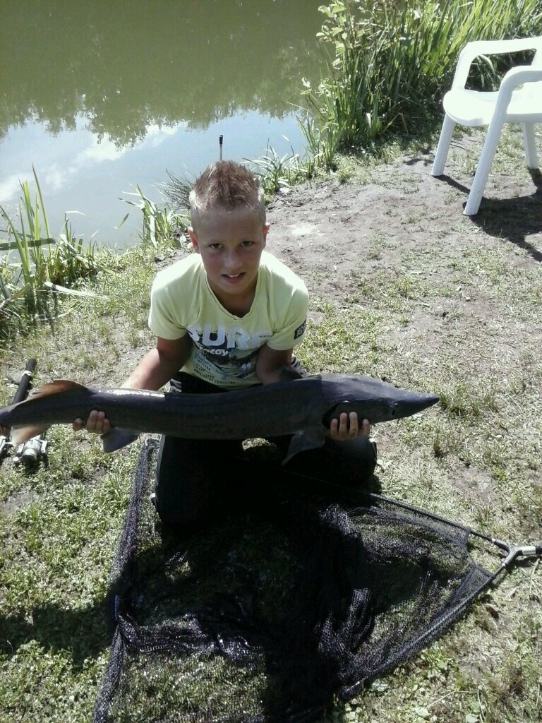 MelvynSeubring's profile picture. 