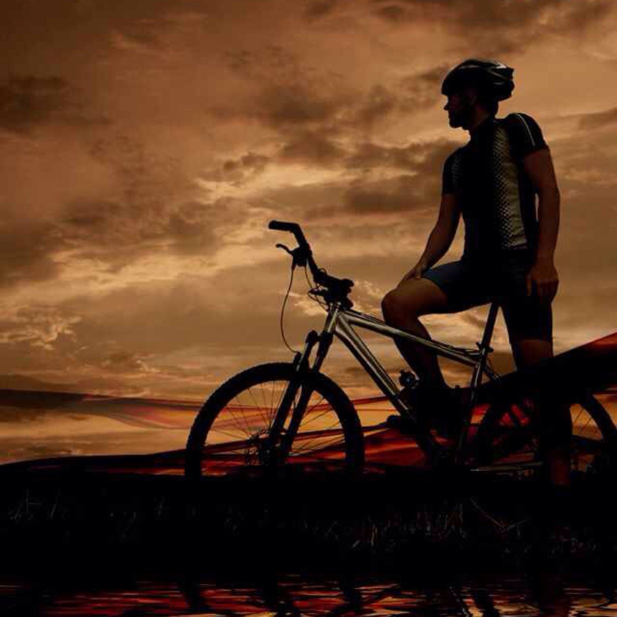 austinorr9's profile picture. 