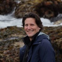 John Rosborough (@rosboroughtv) 's Twitter Profile