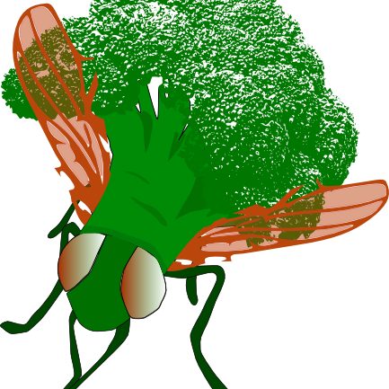 BroccoliFly's profile picture. 