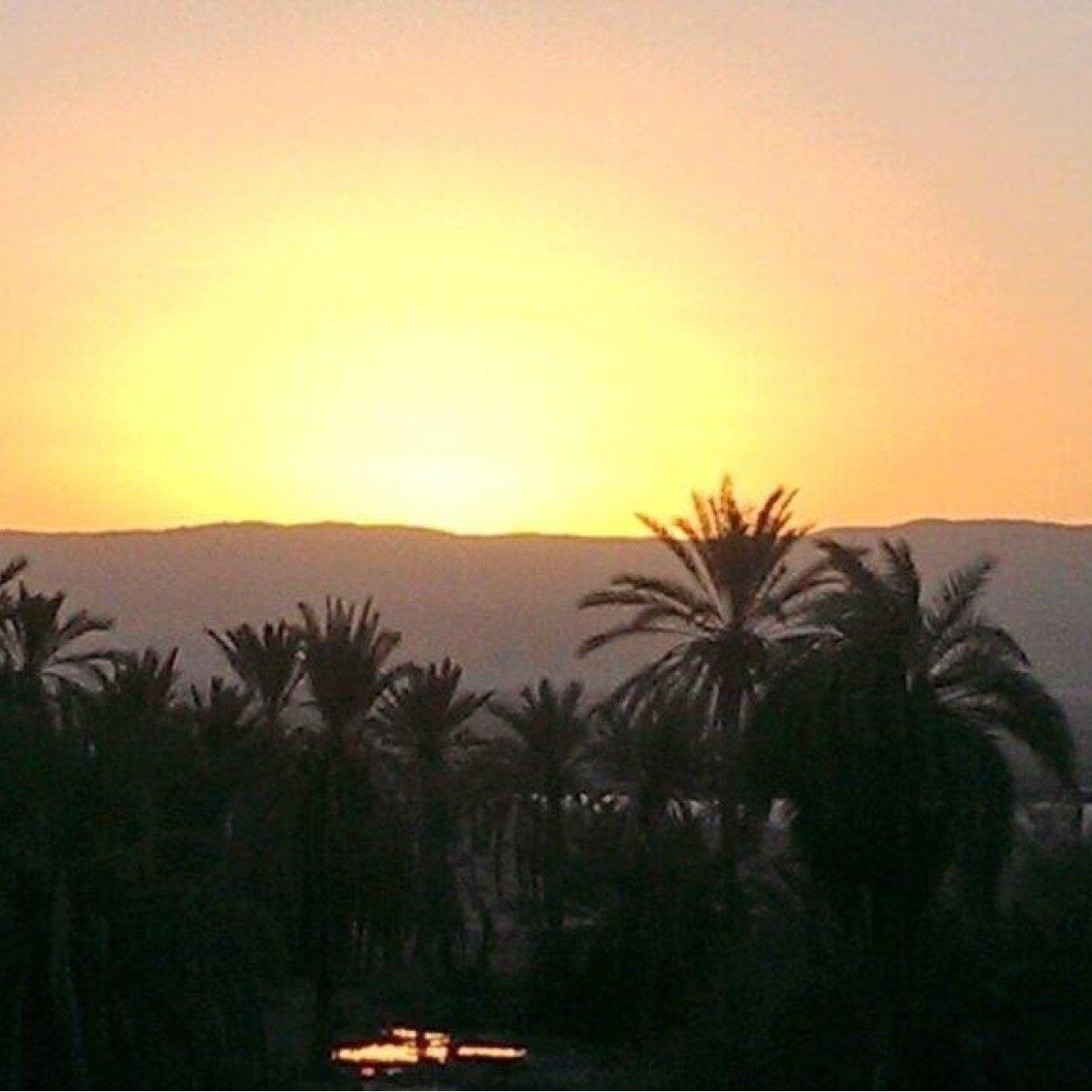 zhamza11's profile picture. 