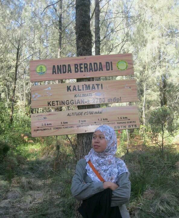 Hantiwi's profile picture. http://t.co/jDPmPPM4c1.10 || Envi Ranger: Air, Water, Food, Soil