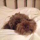 Jonathan Jukes - @jonjukes - Twitter