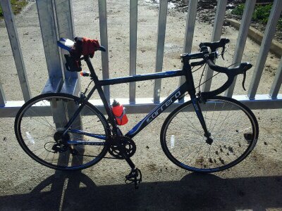 ferriday_adrian's profile picture. 