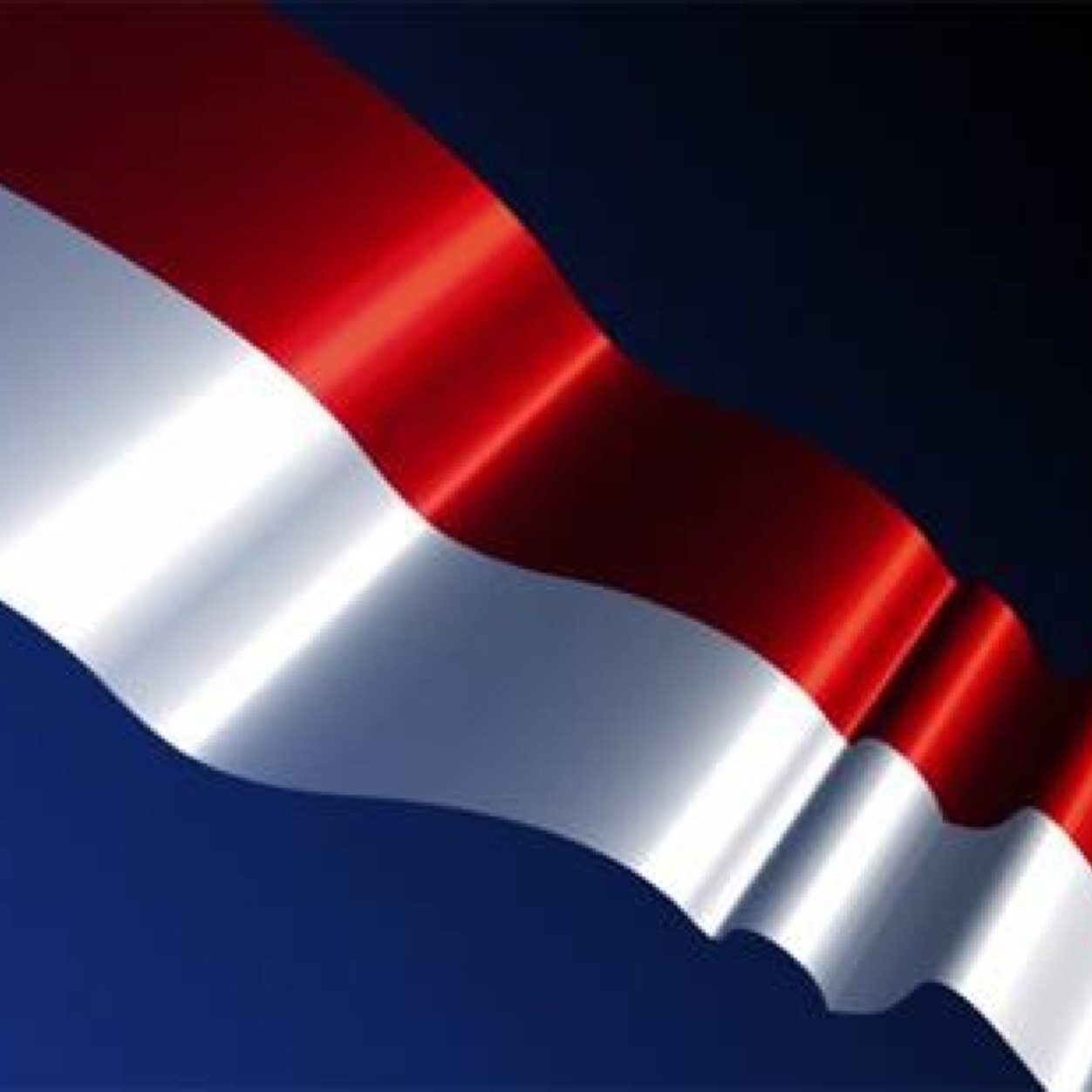 nrasyid's profile picture. 