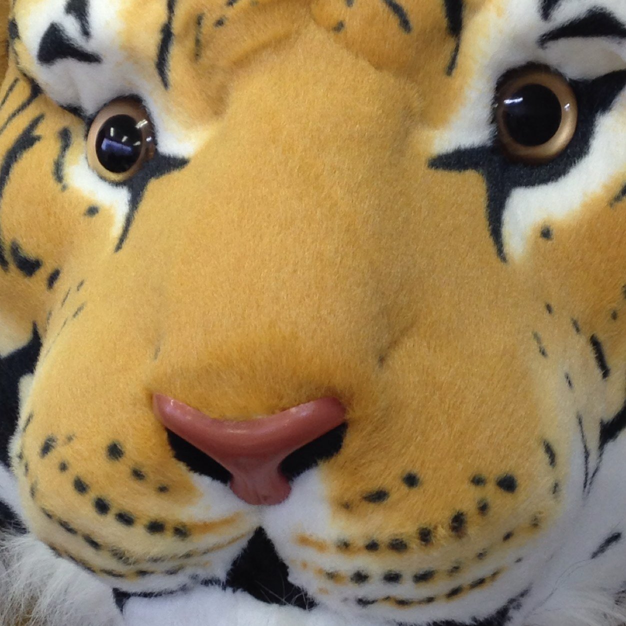 ksosk_'s profile picture. 