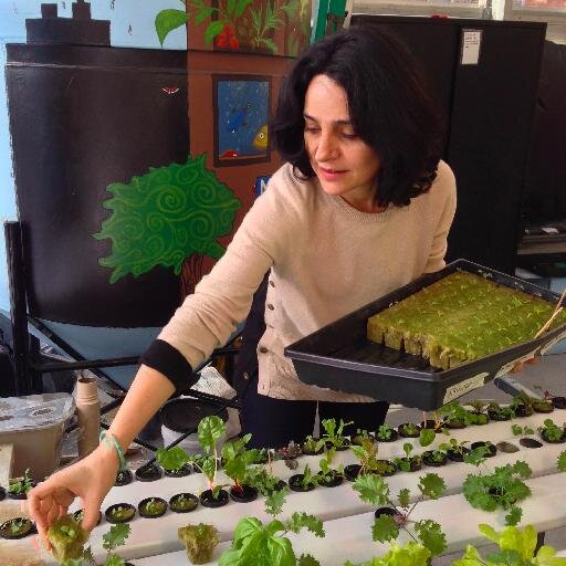 NY Sun Works Executive Director / Greenhouse Project Cofounder / Advocate for Gender Equality, Sustainability Science, & Quality Education / Opinions are my own