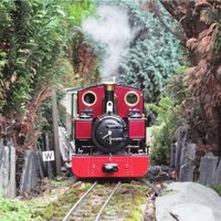 16mm NGM Official (@association16mm) 's Twitter Profile