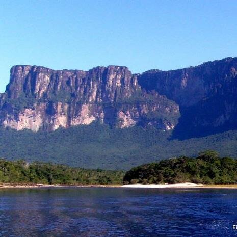 Ciudadana del mundo y Venezolana arrecha