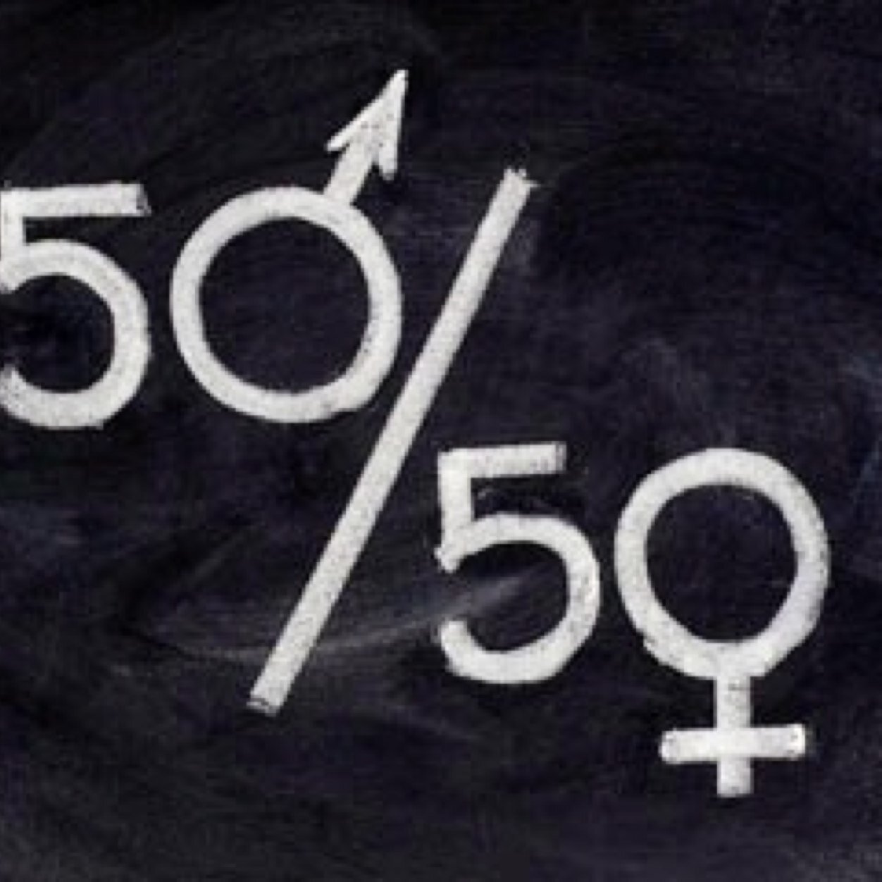 eng105project's profile picture. 