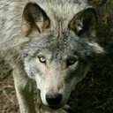 Julie Barton - @sally196702 - Twitter