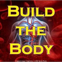 Build The Body(@bldthebody) 's Twitter Profile Photo