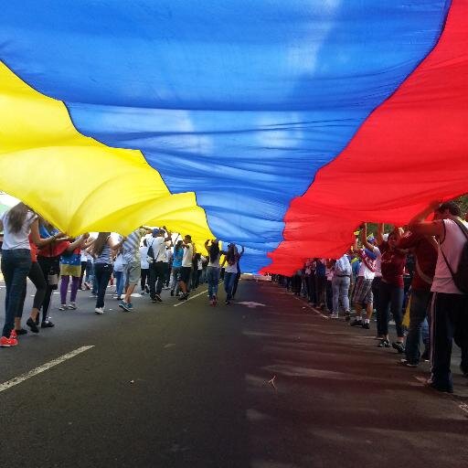 ReyGuz's profile picture. Corredor de Seguros