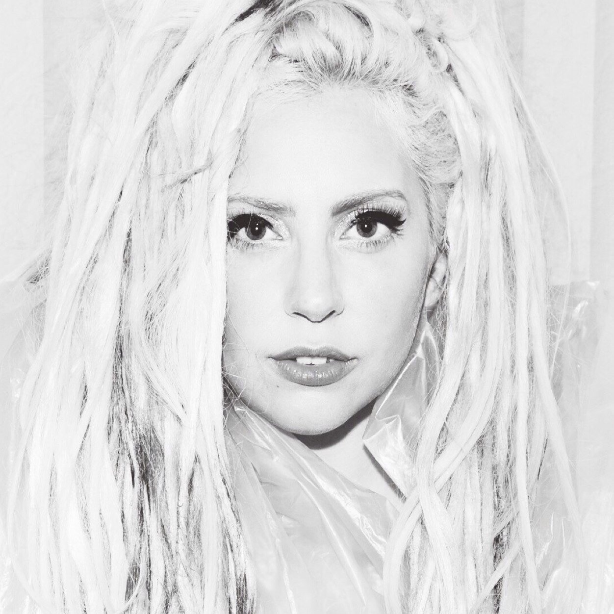 My Queen @ladygaga followed me 17.01.13 ♥ Verified #LittleMonster till the end! #TheBTWBallRussia 12.12.12♥ Followed by @TaraSavelo 29.01.13 & @laceexo
