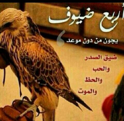 الا تعاب 5000 بعد النظره الشرعيه اذا تم الاتفاق