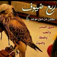 خطابه للجاااادين فقط ... (@mmmy1452) Twitter profile photo