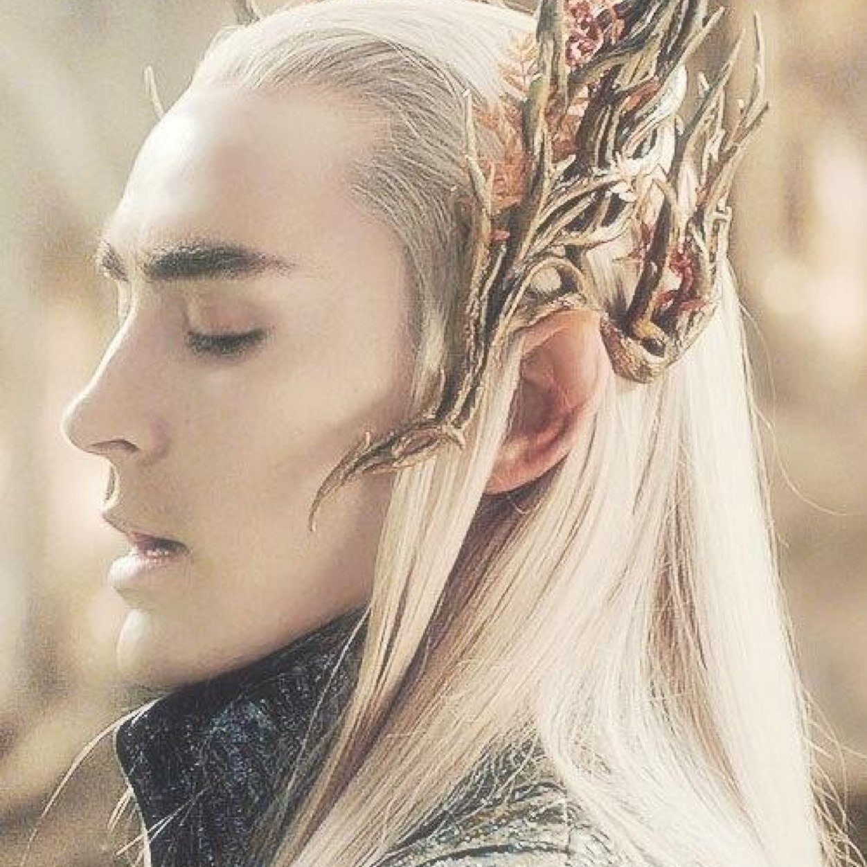 They say the elves of Mirkwood are less wise and more dangerous. Who am I to argue? (( RP | AU | Member of the Board of Directors | Co-Coach of Archery Team ))
