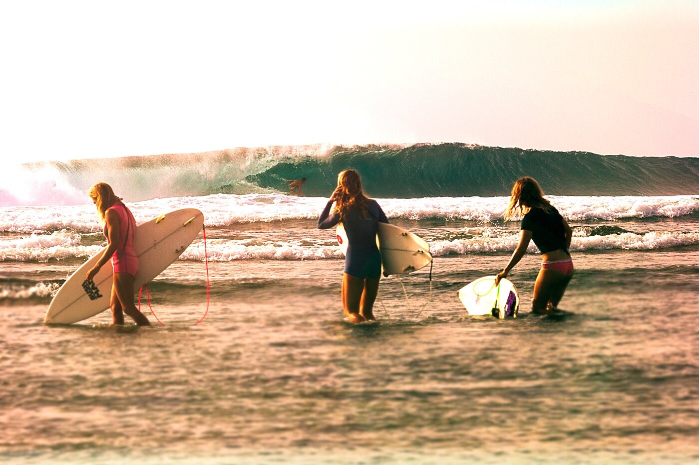 SurfIslandGirls's profile picture. Island Girls organize surf holidays for adventurous girls who share the passion for traveling and surfing.