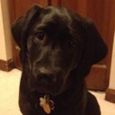 Lynn Landers - @ltldocs - Twitter