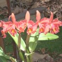 STELLA GONZALEZ - @Stella_Zamgon - Twitter