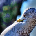 Thomas Inglis - @ting149 - Twitter