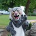 Belle View ES (@belleviewes) Twitter profile photo