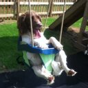 emma jade maddox - @emmamaddox69 - Twitter