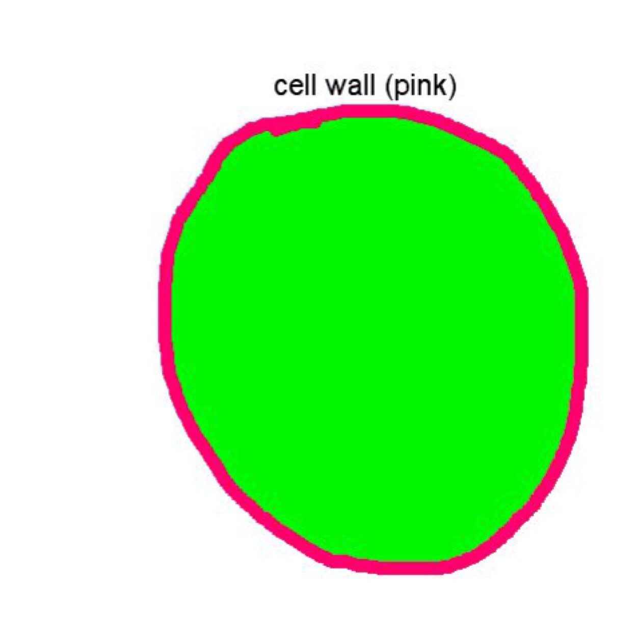 free download cell wall free download cell wall