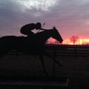 Diane Beasley - @dianejobeasley - Twitter