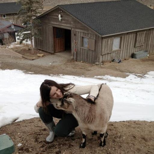 WhatsGouda's profile picture. 