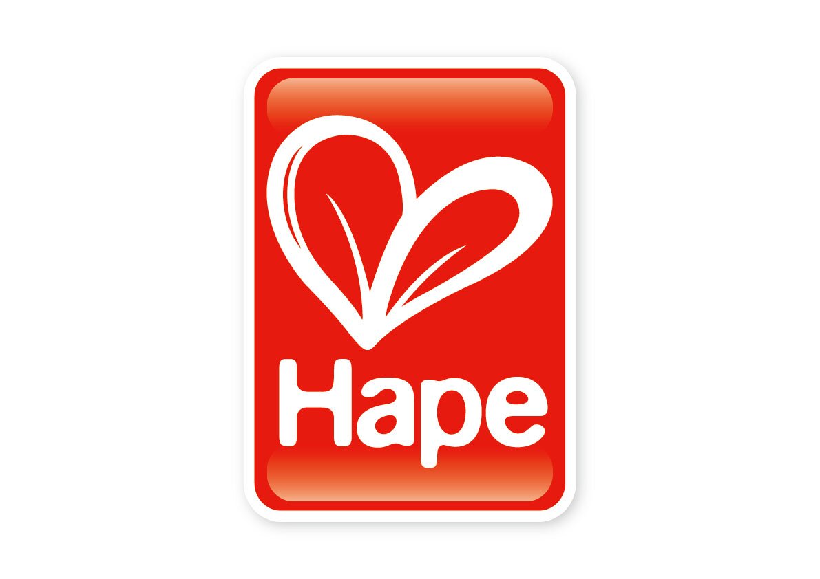 Hape, azienda tedesca leader nei giocattoli ecosostenibili in bambù e legno