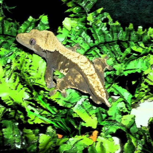 Love for Reptiles. Hopefully breeding my Crested Geckos this season.